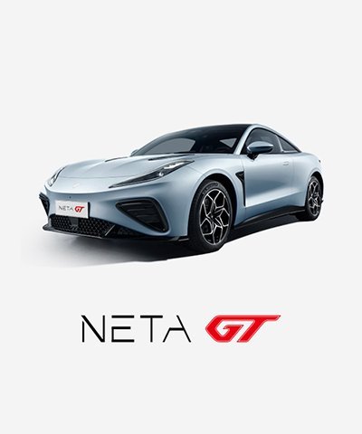 neta gt